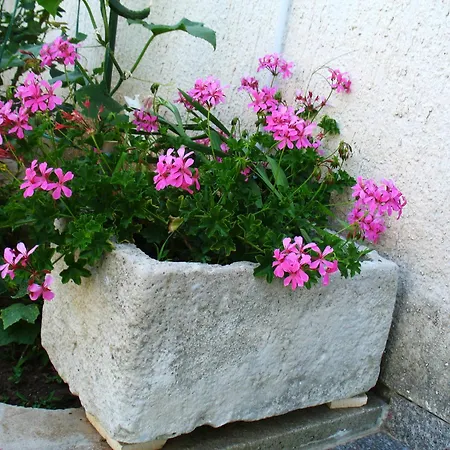 M Vodice